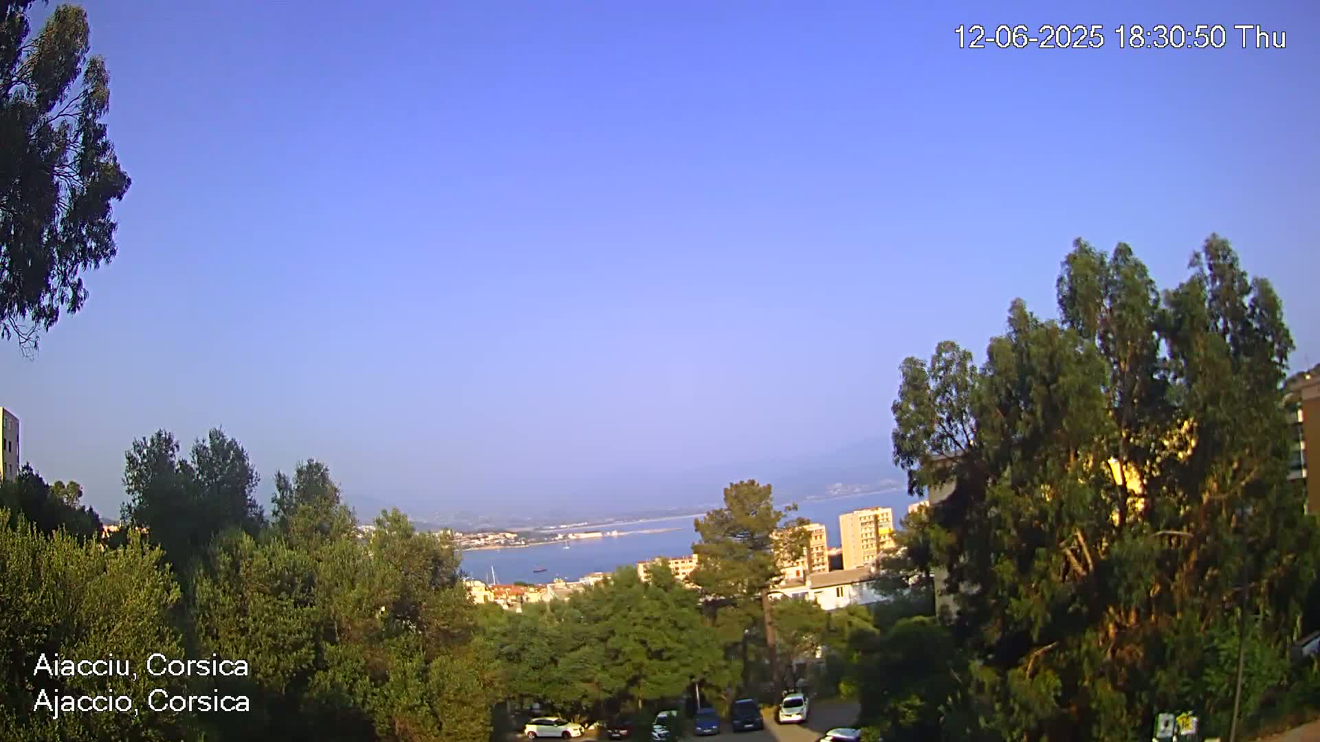 A clear, sunny view overlooking a coastal town and a calm body of water, framed by lush green trees and buildings.