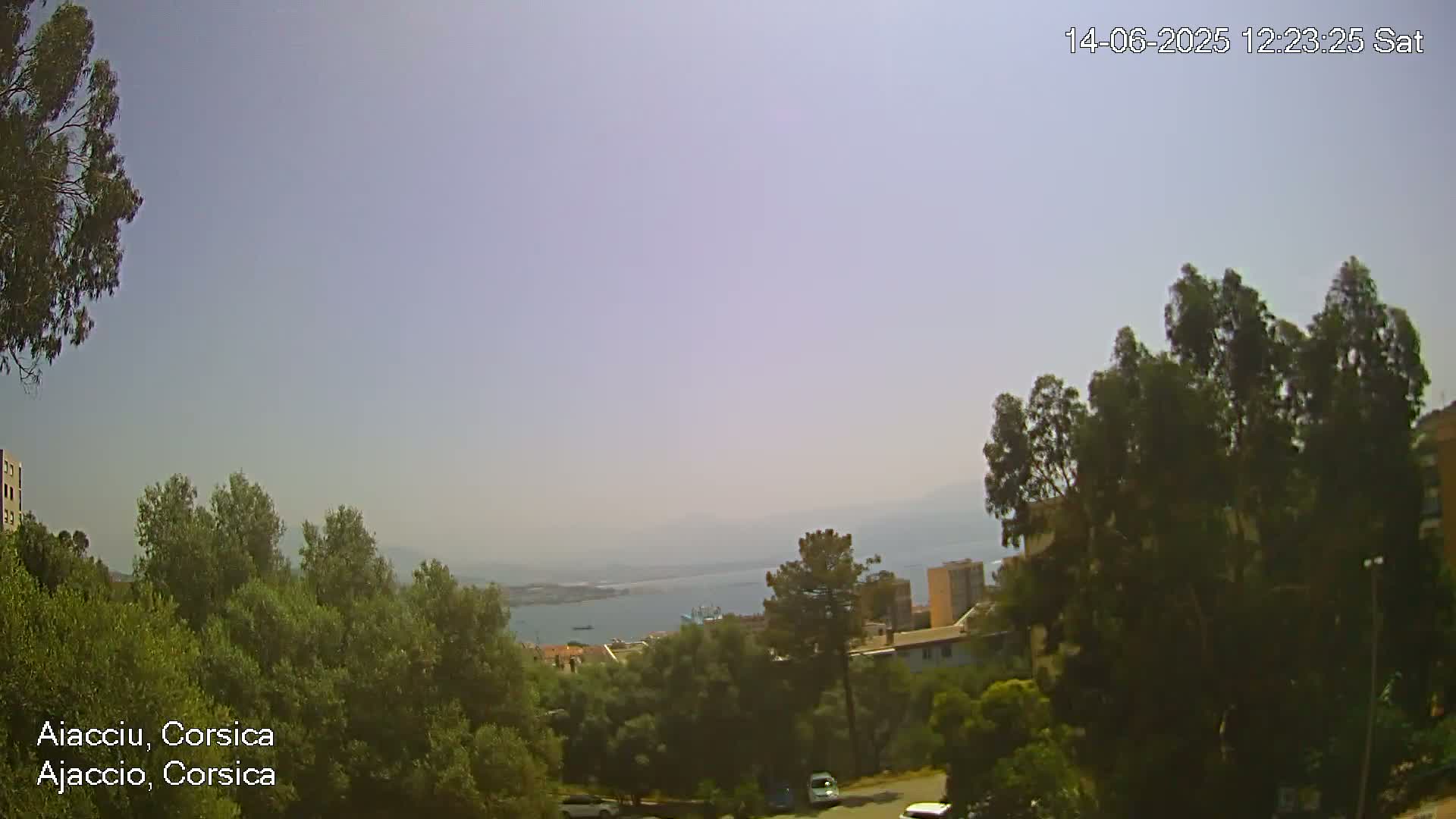 A hazy, sunny view from a hillside shows a distant body of water with a harbor, and buildings and trees in the foreground.