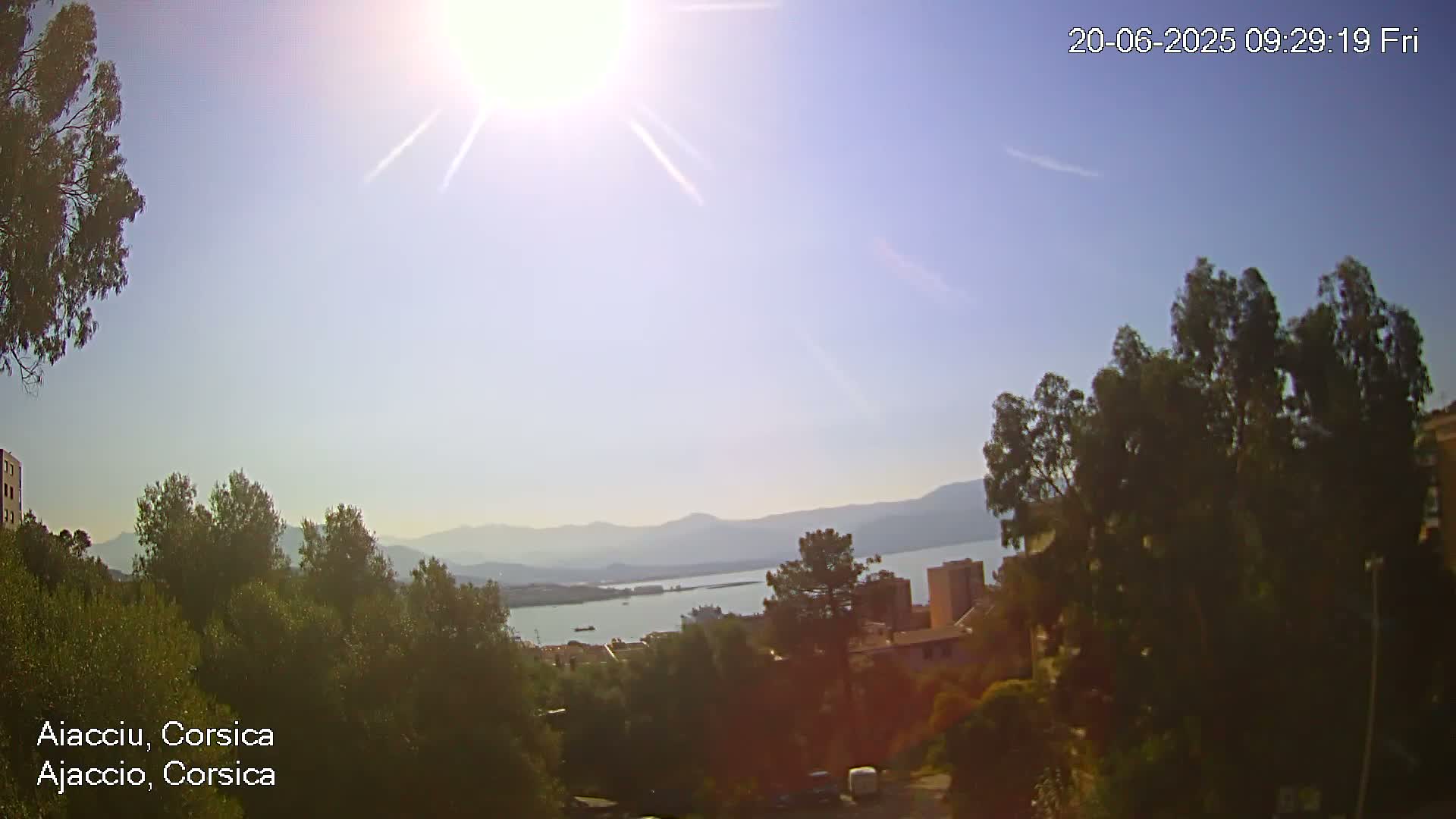 A sunny day reveals a view of a body of water surrounded by hills and buildings, partially obscured by trees in the foreground.