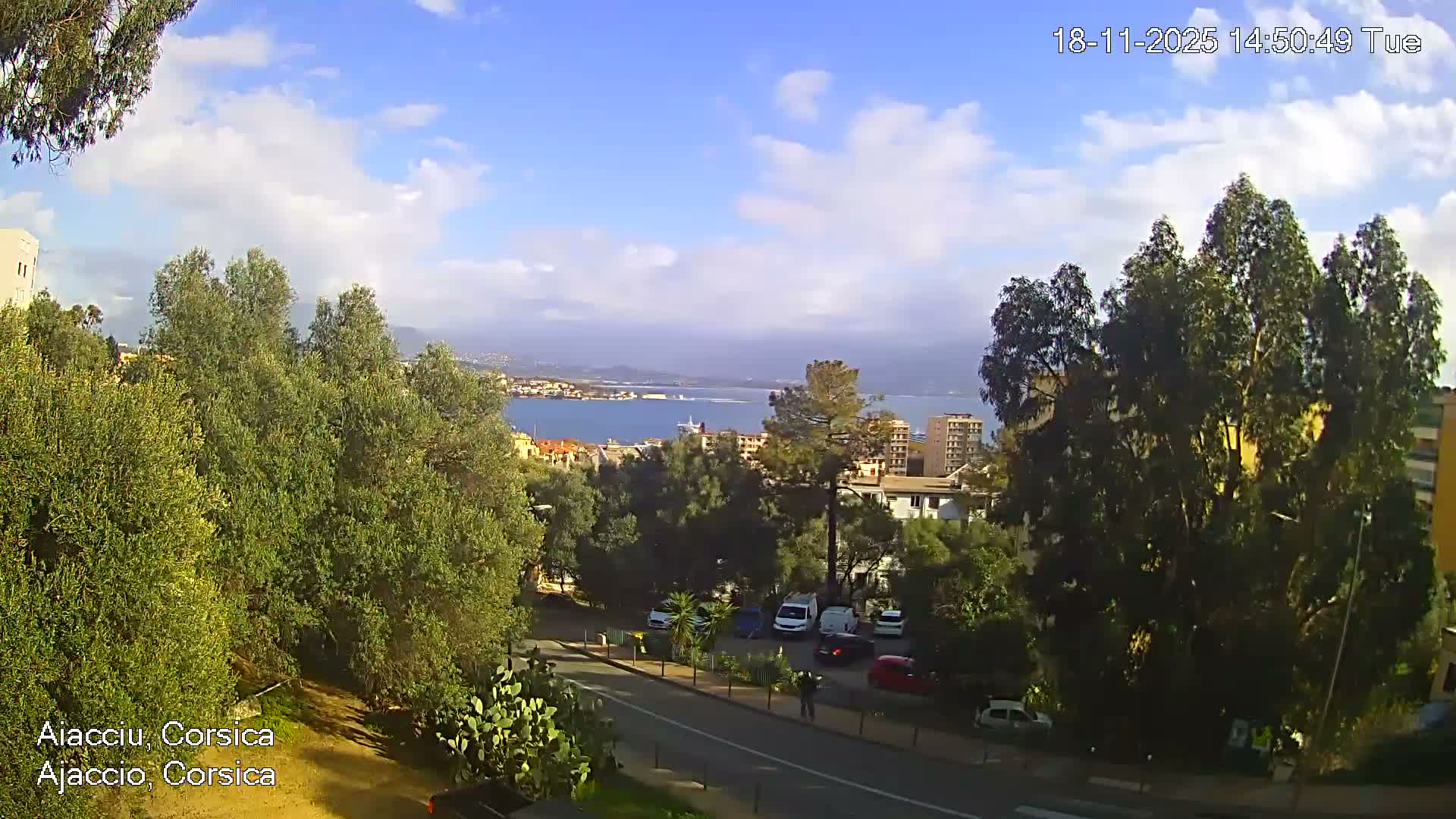A nighttime view of a city across a body of water, seen from a hilltop overlooking trees and illuminated roads under a clear, twilight sky.