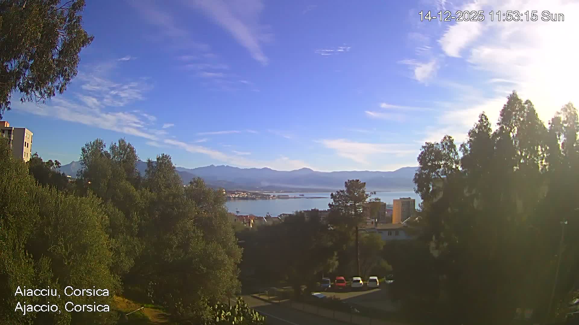 A rainy, overcast morning view captures a wet road with cars, lush green trees, coastal buildings, a bay dotted with boats, and distant mountains shrouded in mist.