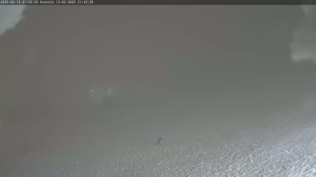 A blurry, hazy, snowy scene is visible at night, with two small lights faintly appearing in the mid-ground.