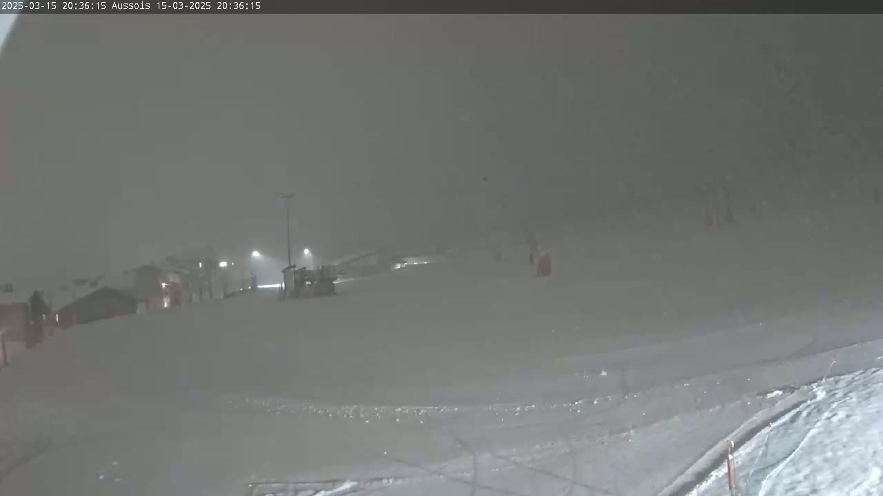 A snow-covered landscape at night is dimly lit by a few distant lights, with heavy snow falling.