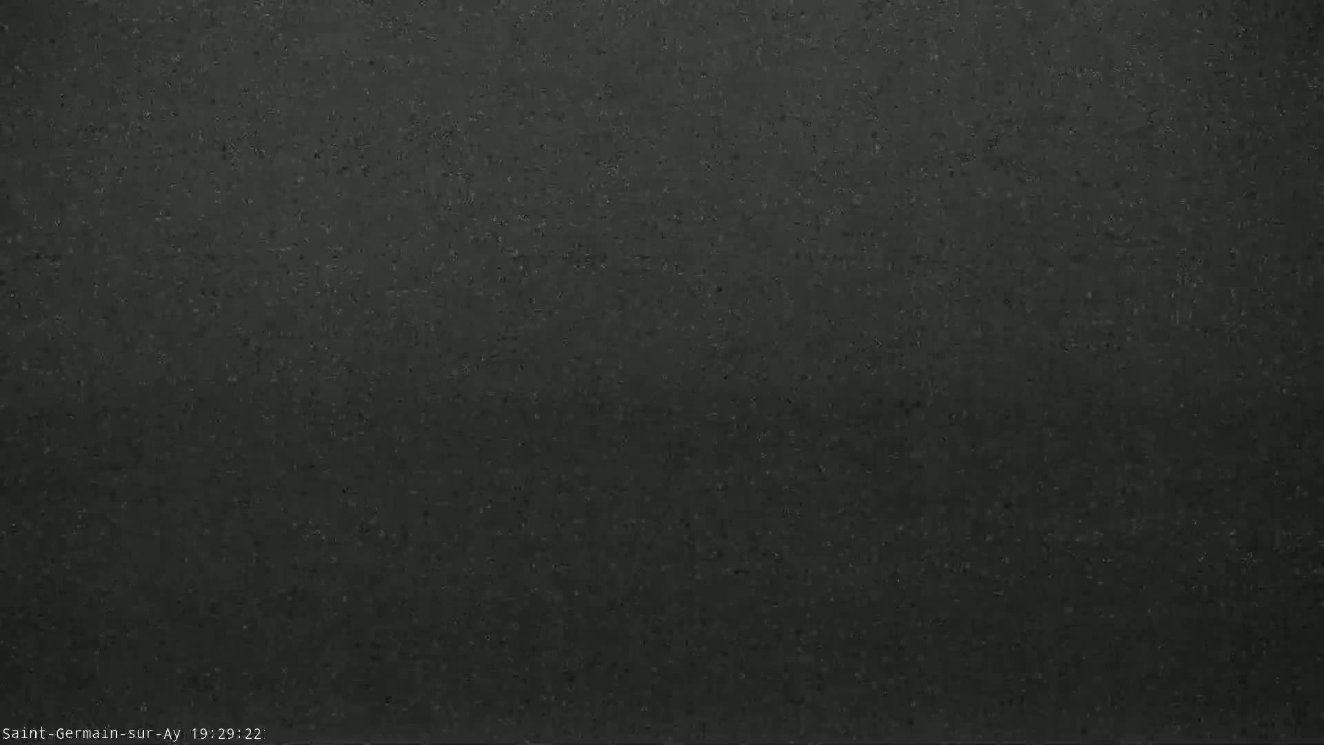 A dark gray, speckled surface fills the entire frame.