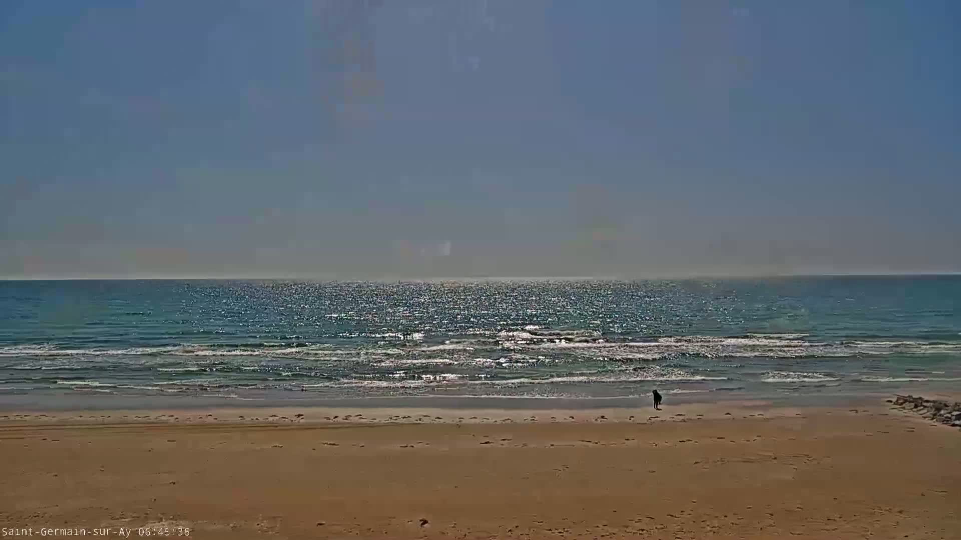 A person stands on a sandy beach next to a calm, sparkling ocean under a clear, bright sky.