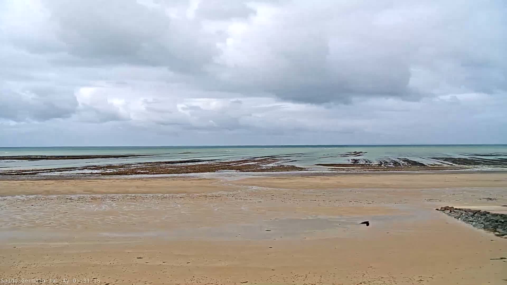 A sandy beach stretches to a calm, pale-green ocean under a cloudy sky.