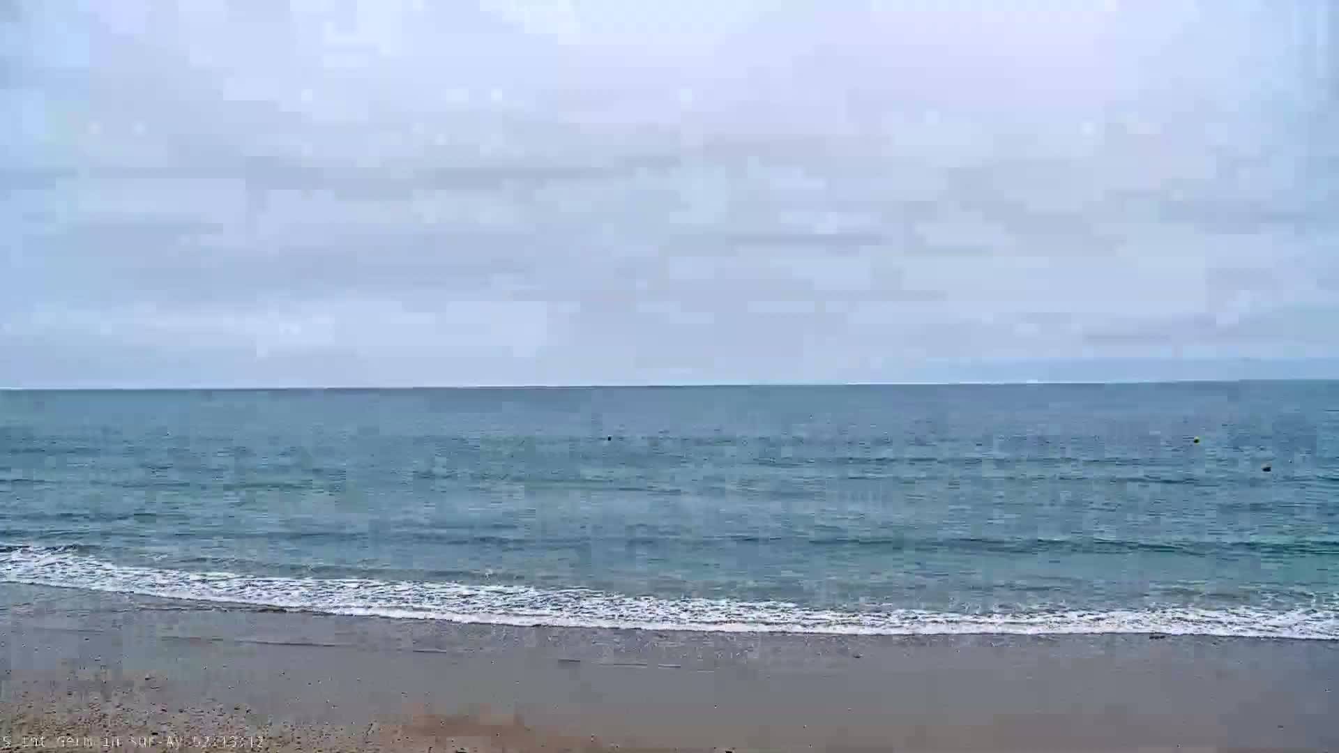 A sandy beach meets a calm, blue ocean under an overcast sky.