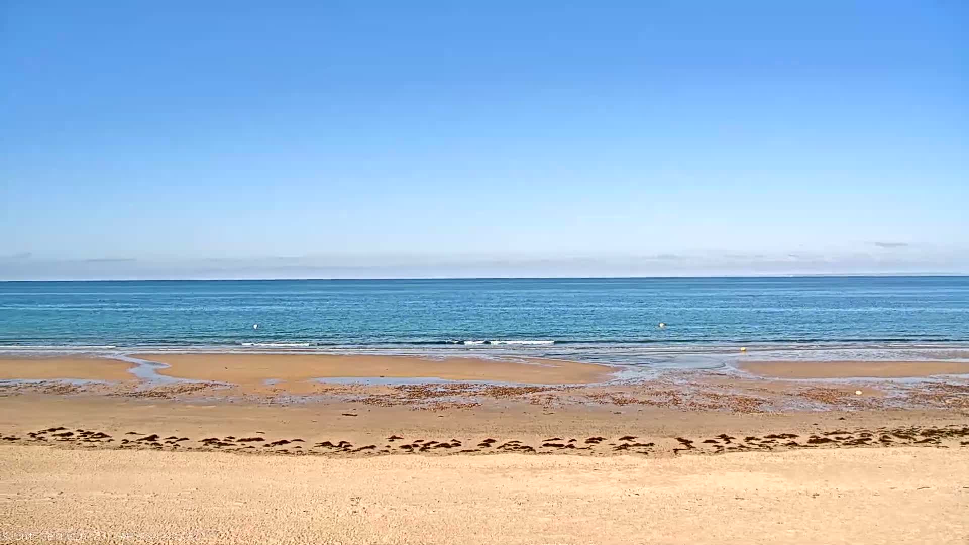 A sandy beach stretches to a calm, blue ocean under a clear blue sky.