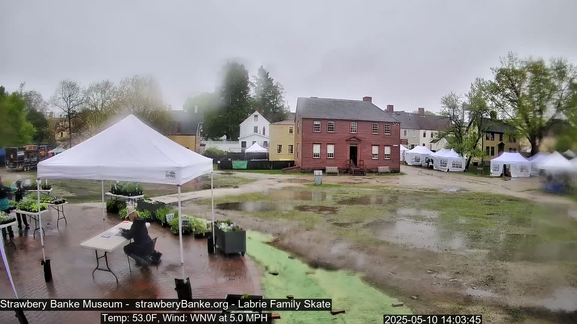 A rainy outdoor market scene with several white tents, historical buildings, and a person sitting at a table in front of a tent displaying plants.