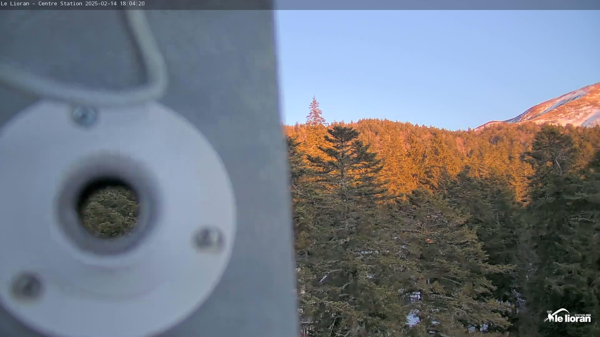 A view through a circular hole in a gray object shows a sunlit forest of evergreen trees on a hill under a clear blue sky, with a snow-capped mountain in the distance.