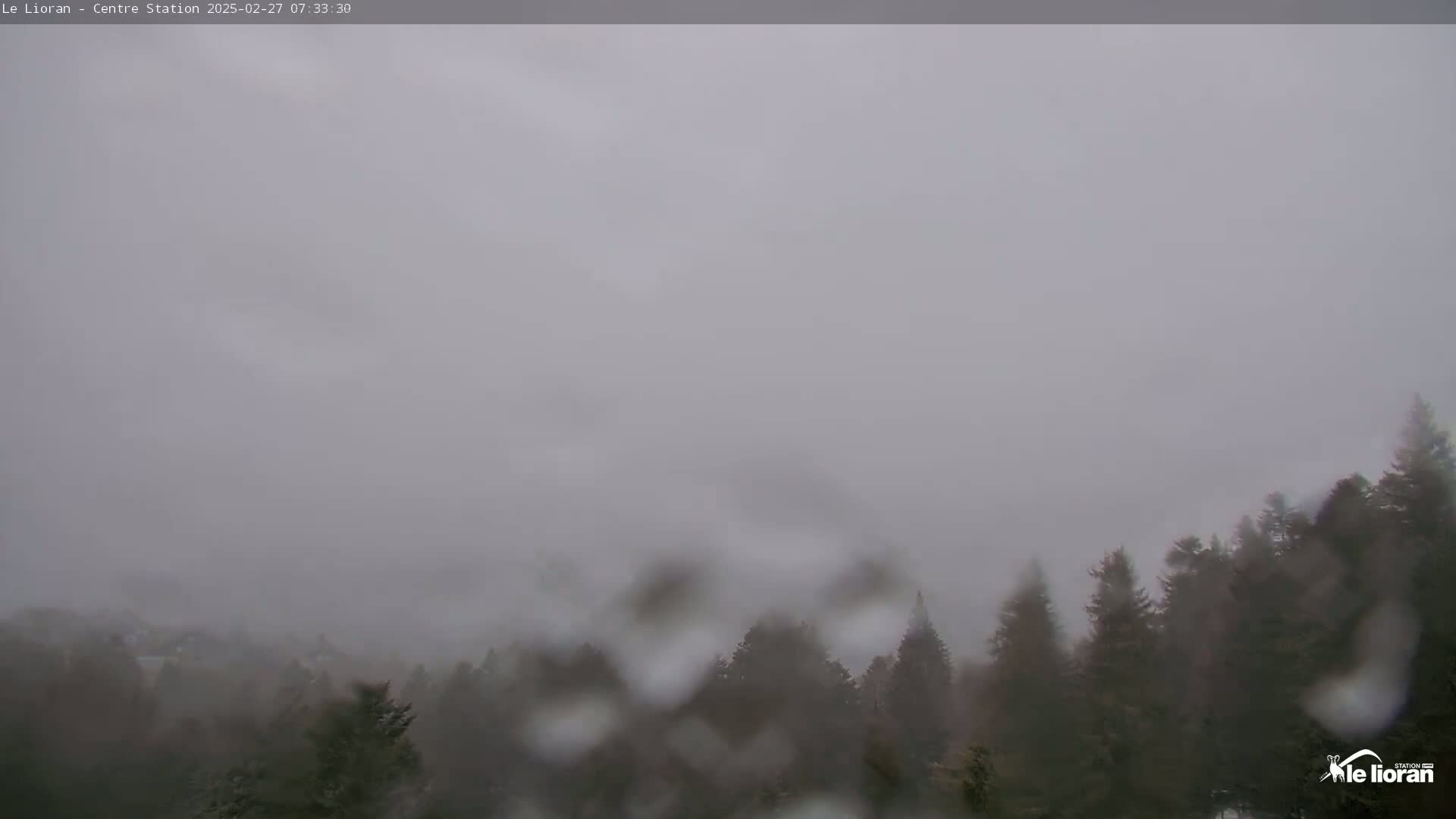 A foggy, rainy view shows a line of evergreens in the distance.