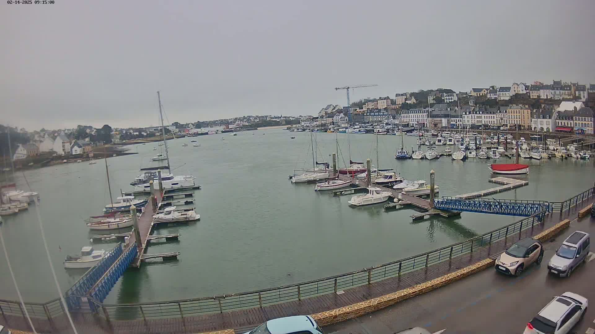 A harbor filled with numerous boats on a cloudy day, with a town visible in the background.