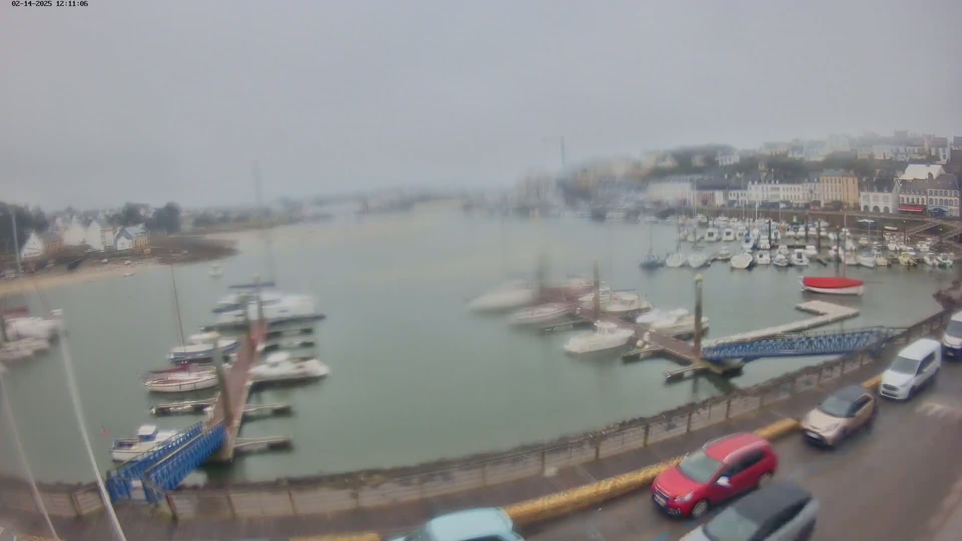 A harbor filled with numerous boats on a foggy day, with cars parked along a nearby road.