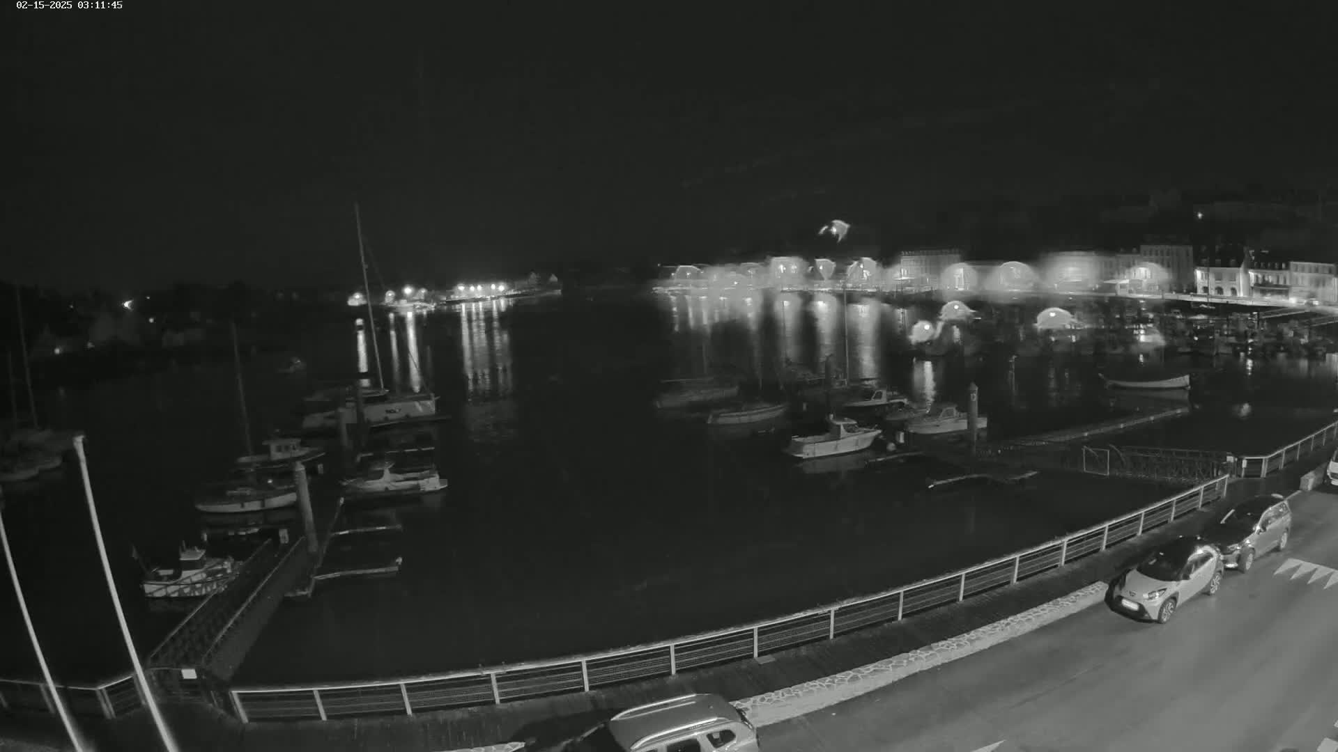 A nighttime view of a harbor with many boats docked, lit buildings across the water, and a few cars parked along a road.