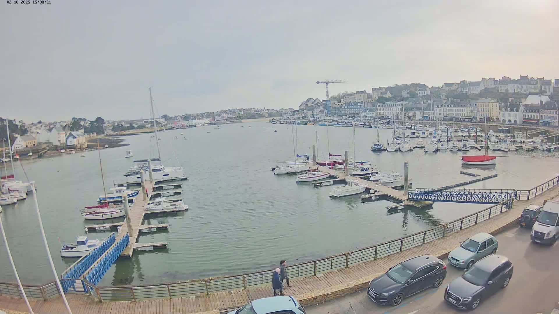 A harbor filled with numerous boats and yachts on a calm, overcast day, with a town visible in the background.