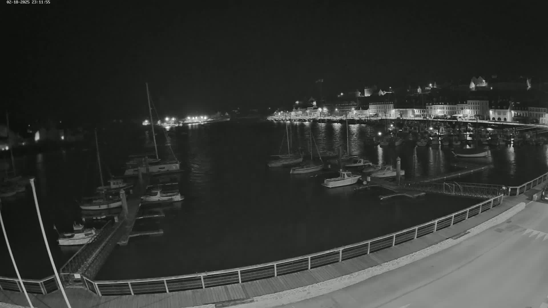 A nighttime view of a harbor filled with boats, docked alongside a waterfront town under a clear, dark sky.