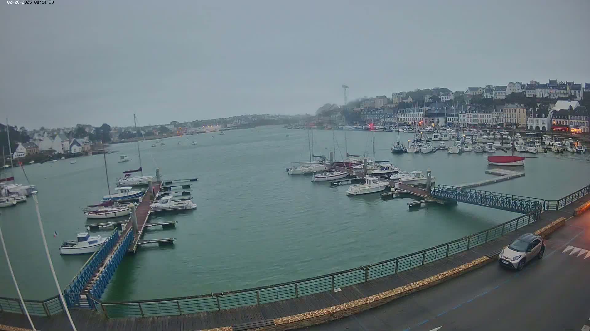 A harbor filled with numerous boats on a cloudy day, with a town visible in the background.