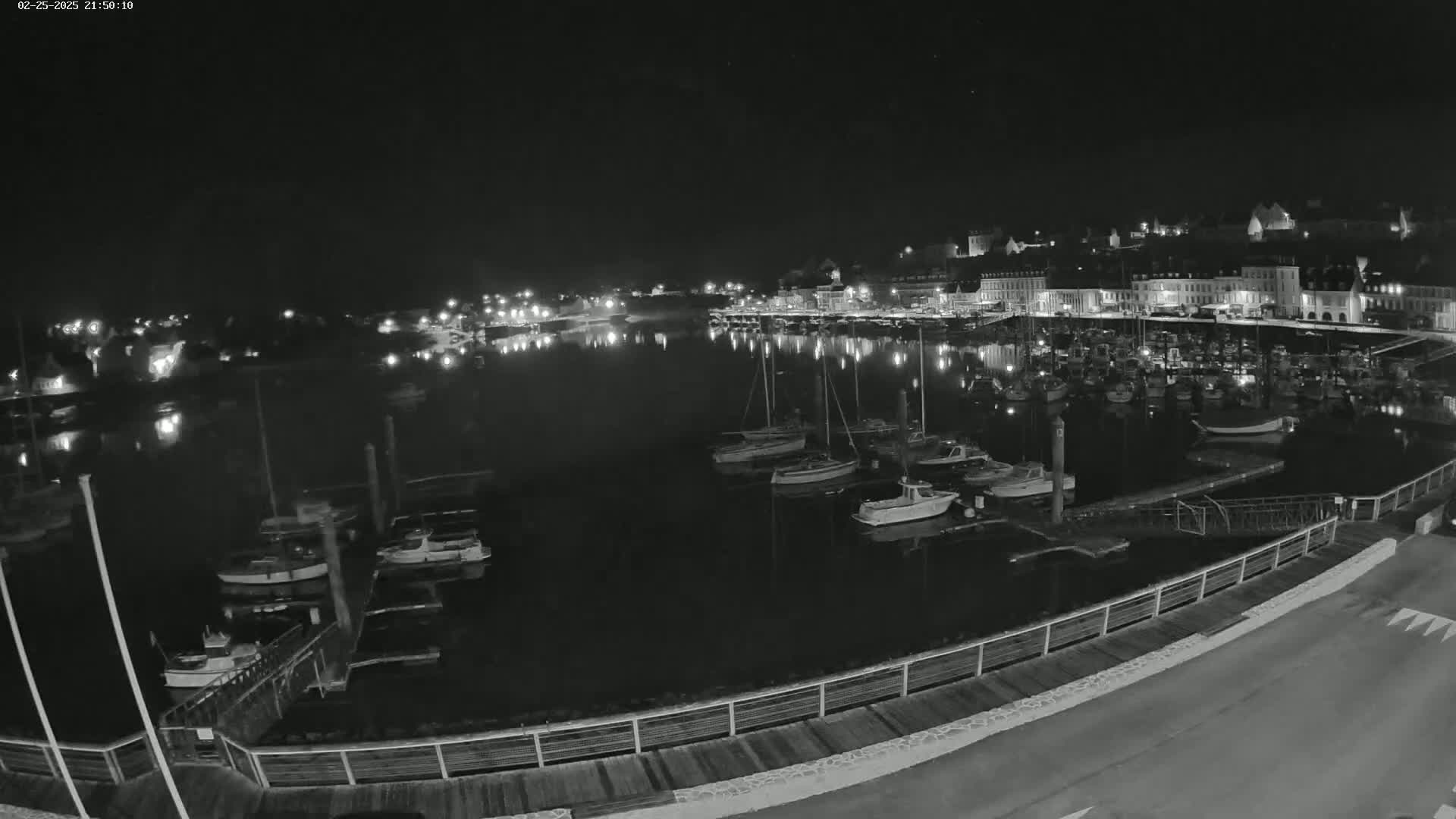 A nighttime view of a harbor filled with boats, docked alongside a town's waterfront under a clear sky.