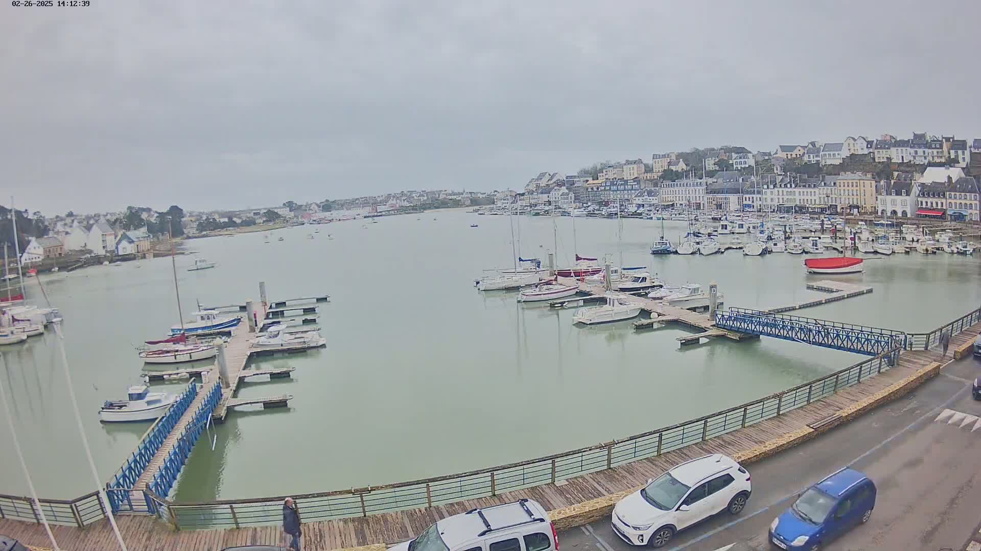 A harbor filled with numerous boats and yachts is seen under an overcast sky, with a town and cars visible in the background and foreground.