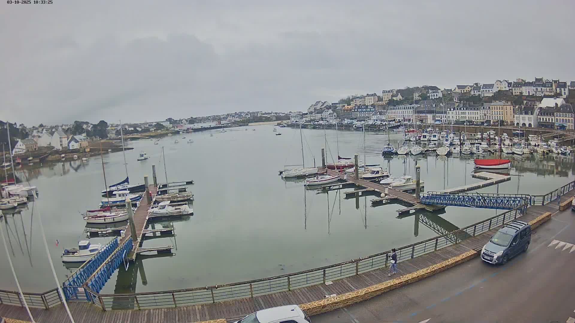 A harbor filled with numerous boats on a cloudy day, with a town visible in the background.