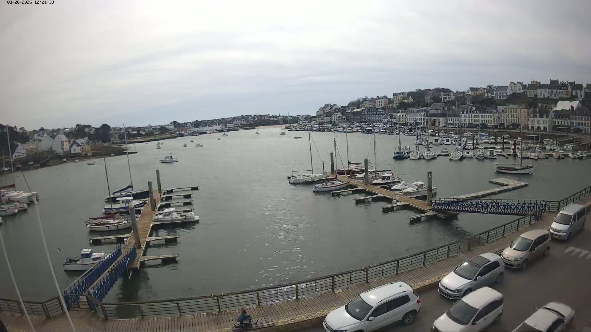 A harbor filled with numerous boats docked at piers, situated in front of a town under an overcast sky.