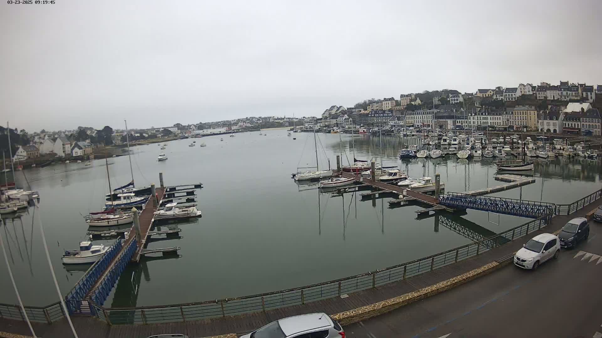 A harbor filled with many boats is seen on an overcast day, with a town in the background.
