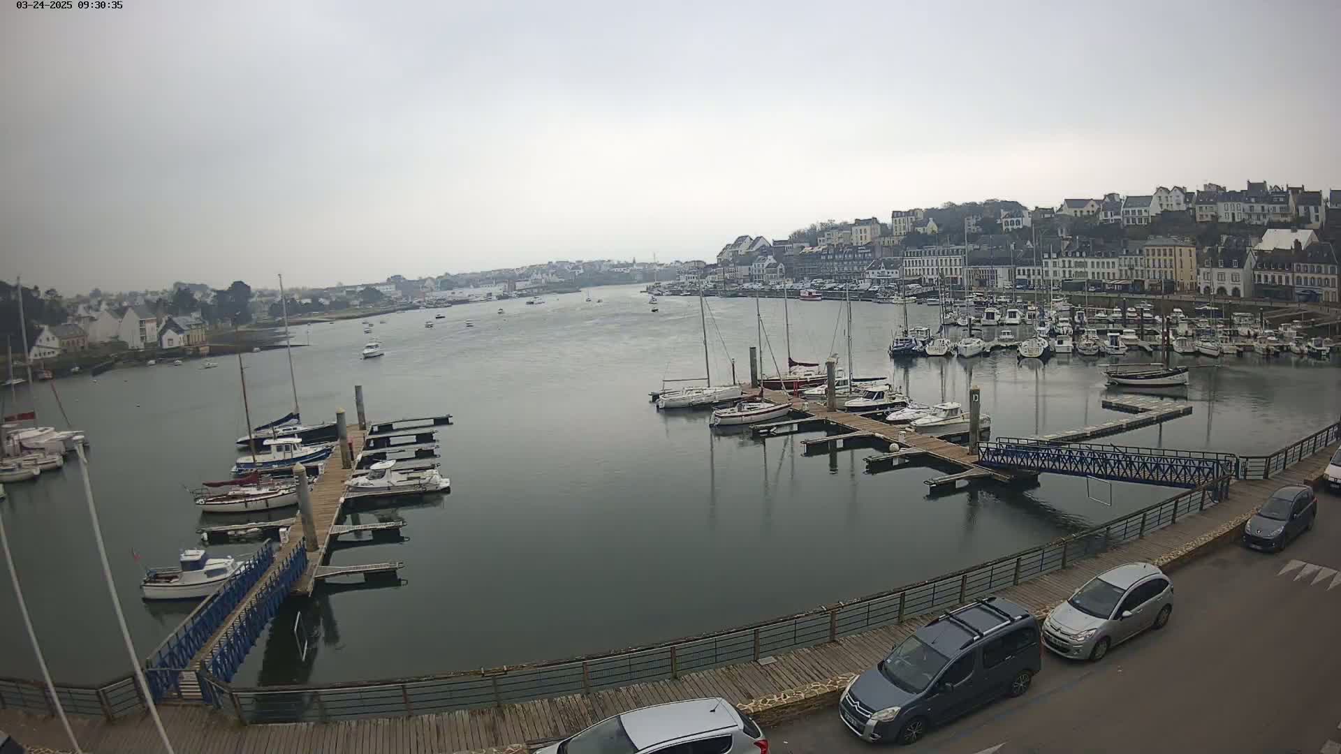 A harbor filled with numerous boats is seen on an overcast day, with a town situated on the opposite shore.