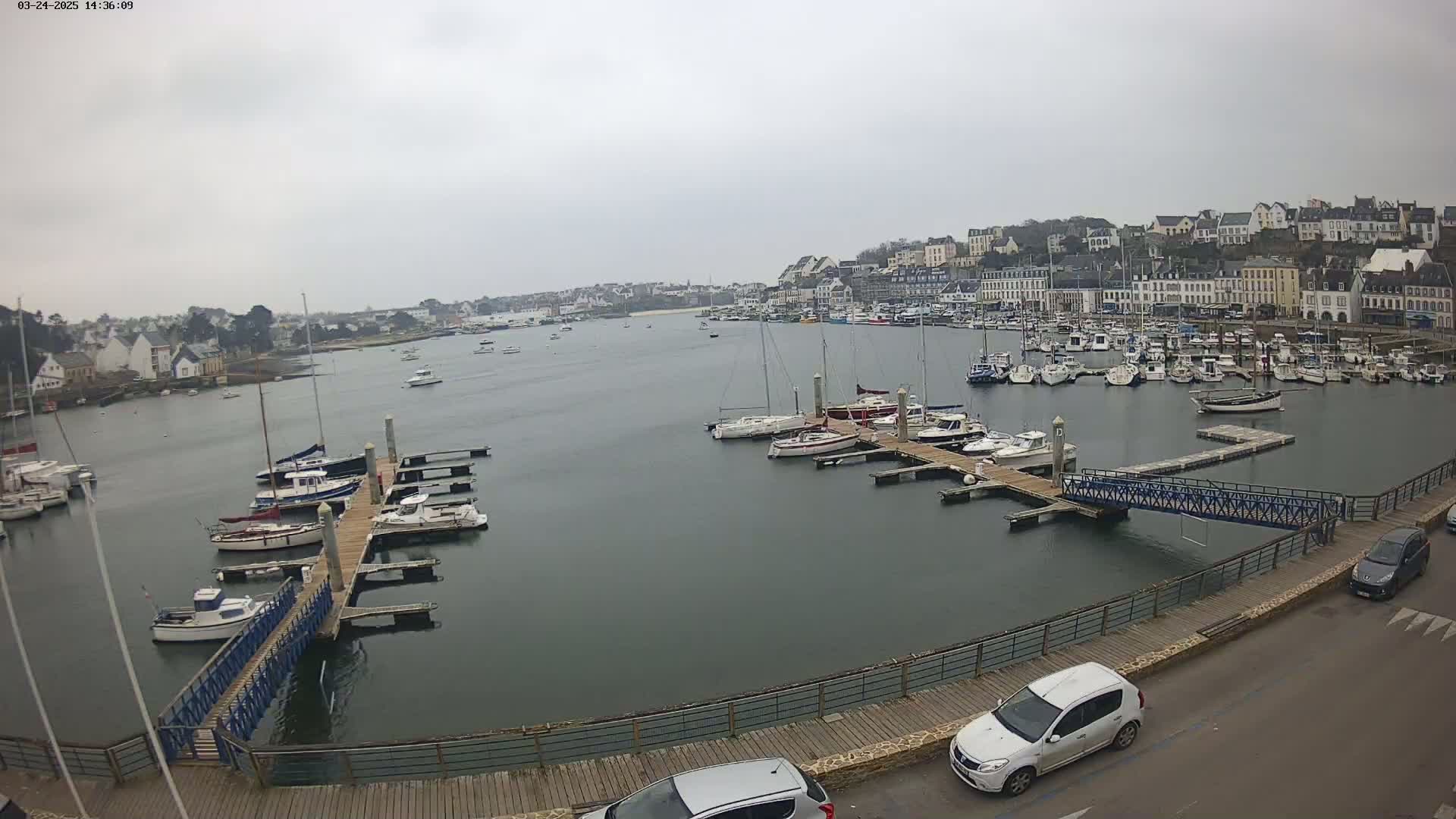 A harbor filled with many boats on a cloudy day, with a town visible in the background.