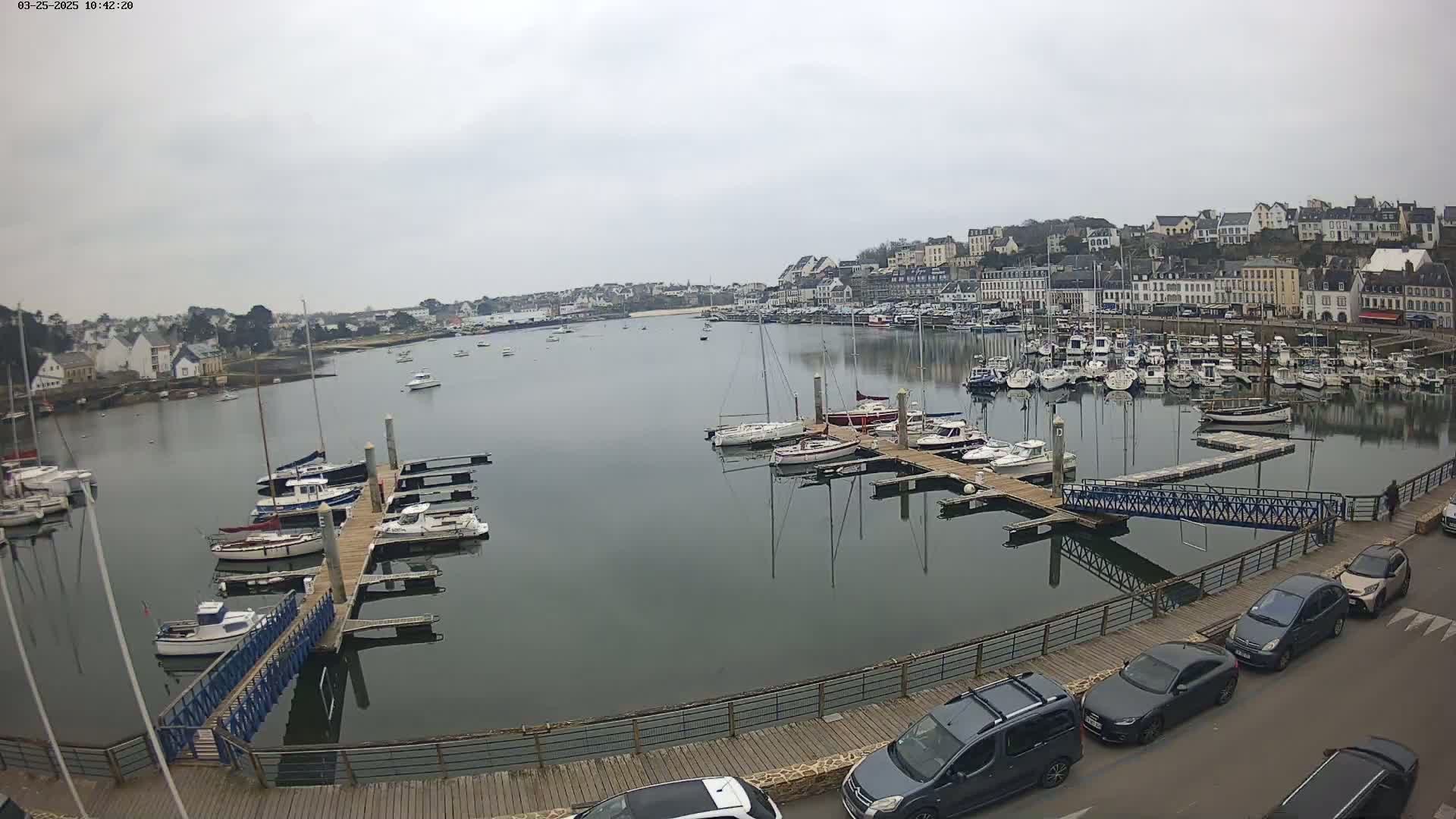A harbor filled with numerous boats on a calm, overcast day, overlooked by a town of white buildings nestled on a hillside.