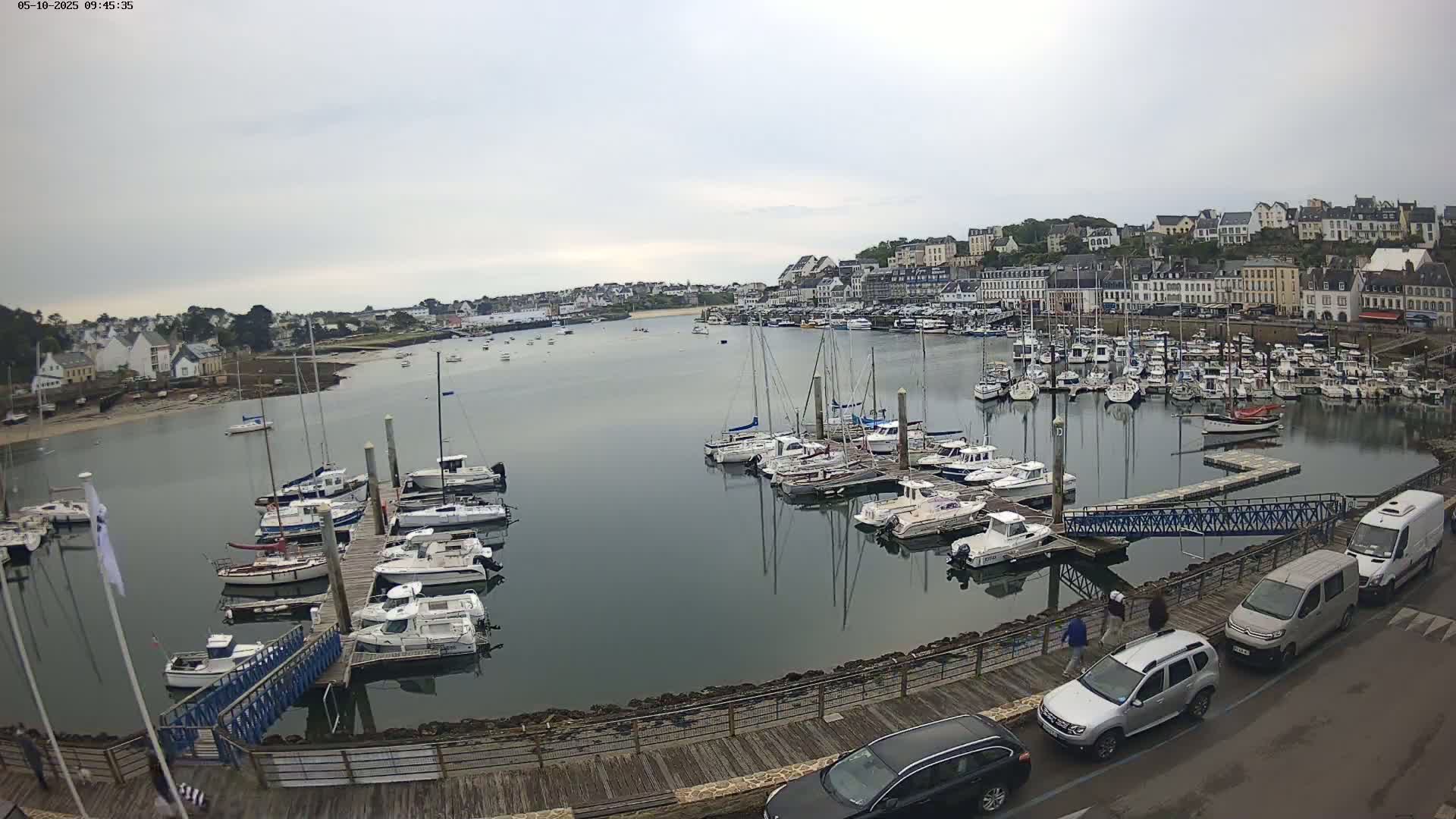 A harbor filled with numerous boats and yachts under an overcast sky, with a town visible in the background.