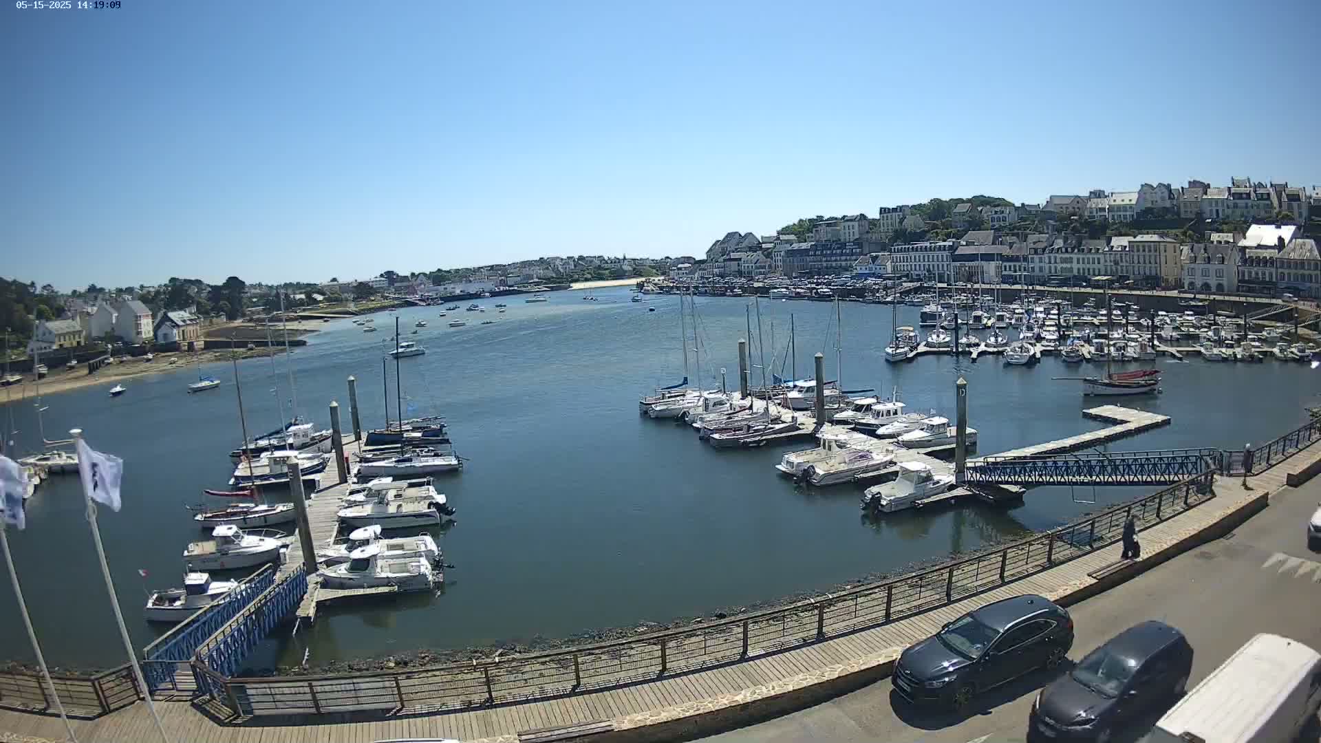 A harbor filled with numerous boats on a sunny day, with a town visible in the background.