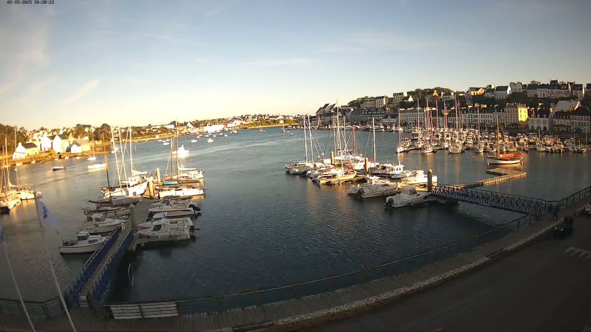 Many sailboats are moored in a harbor next to a town under a clear, sunny sky.