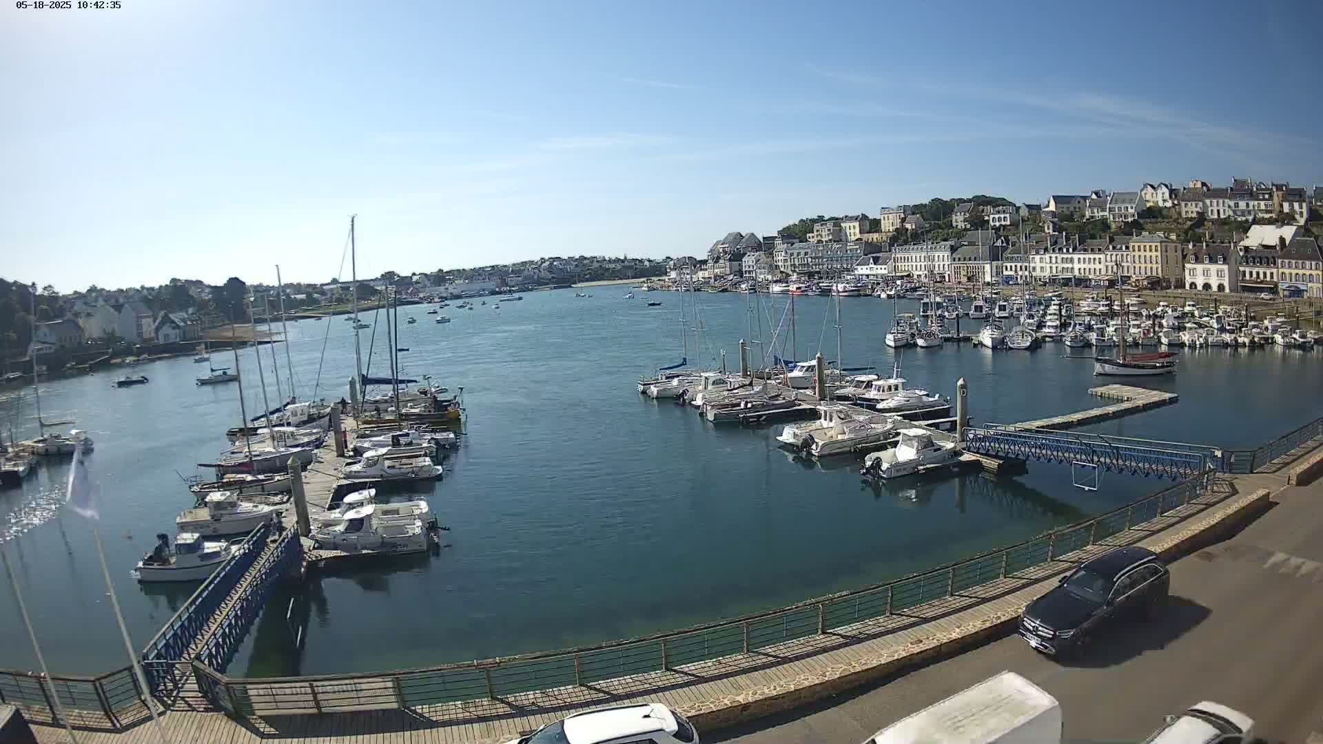 A harbor filled with numerous boats and yachts is situated in front of a town under a clear, sunny sky.