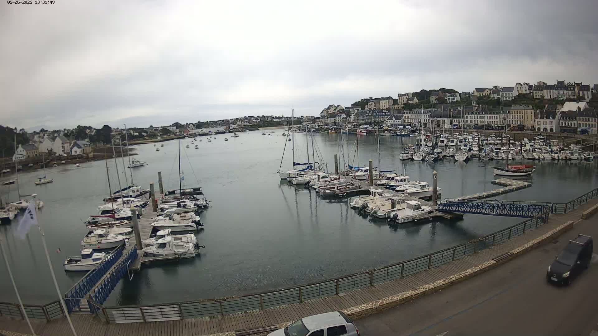 A harbor filled with numerous boats is situated in front of a town under an overcast sky.