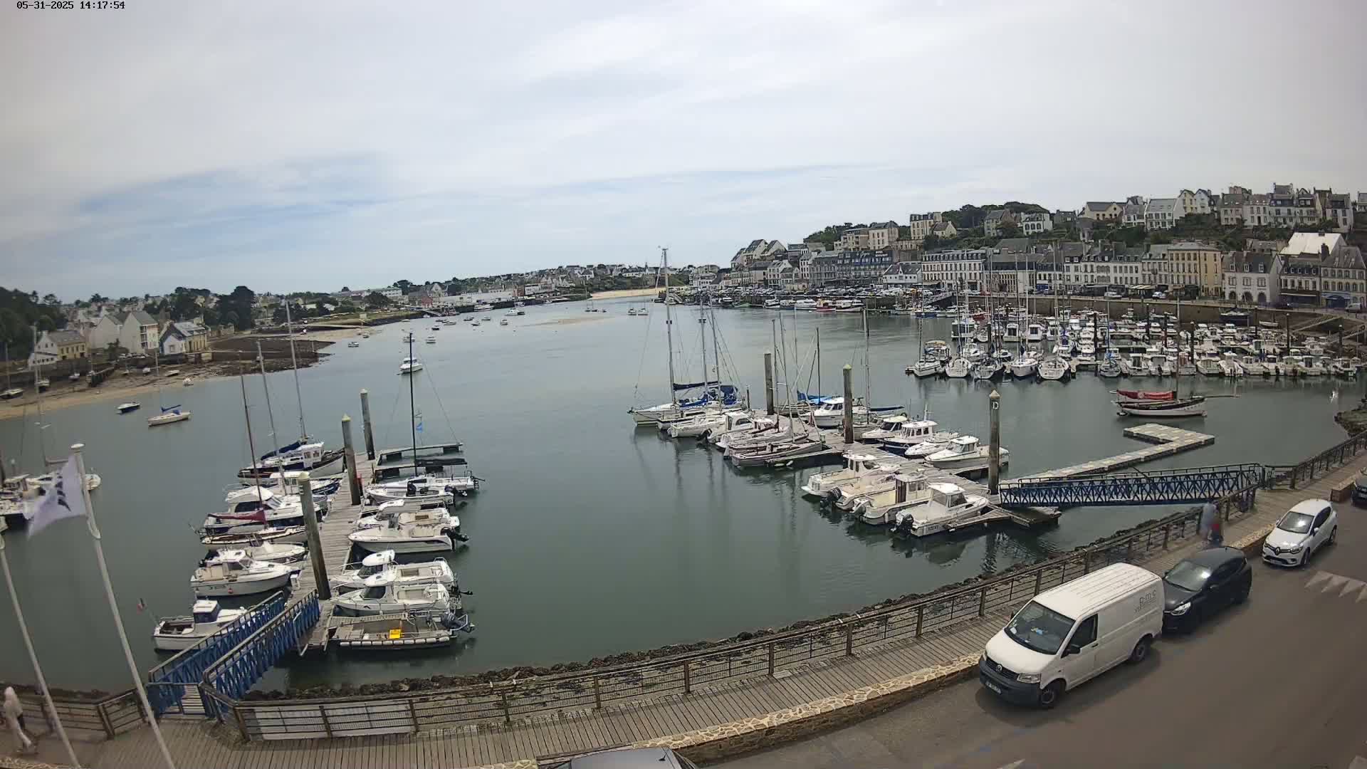 A harbor filled with numerous boats is seen under an overcast sky, with a town and buildings in the background.