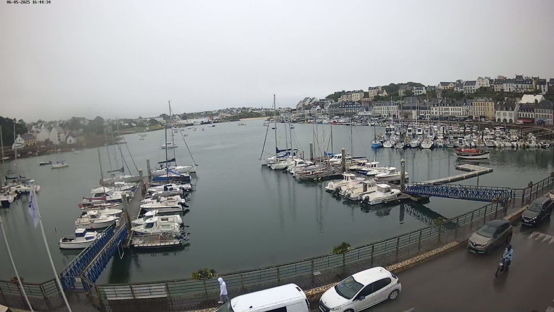 A harbor filled with many boats is seen on an overcast day, with cars parked along a nearby road.