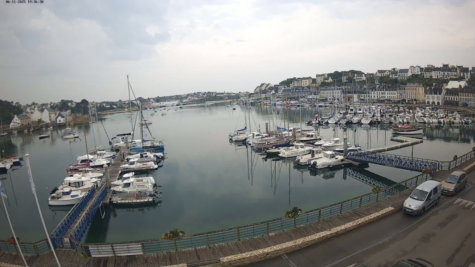 A harbor filled with numerous boats on a cloudy day, with a town visible in the background.