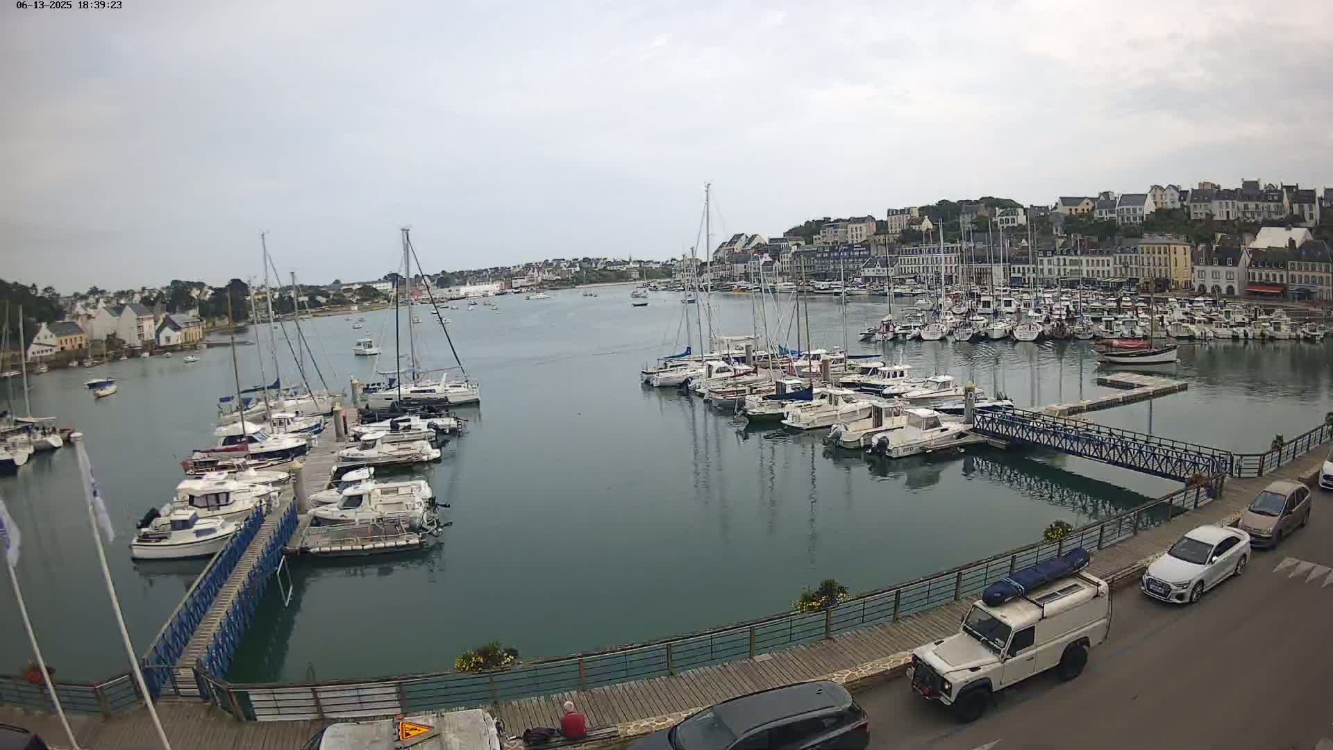 A harbor filled with sailboats and motorboats under an overcast sky, with a town visible in the background.