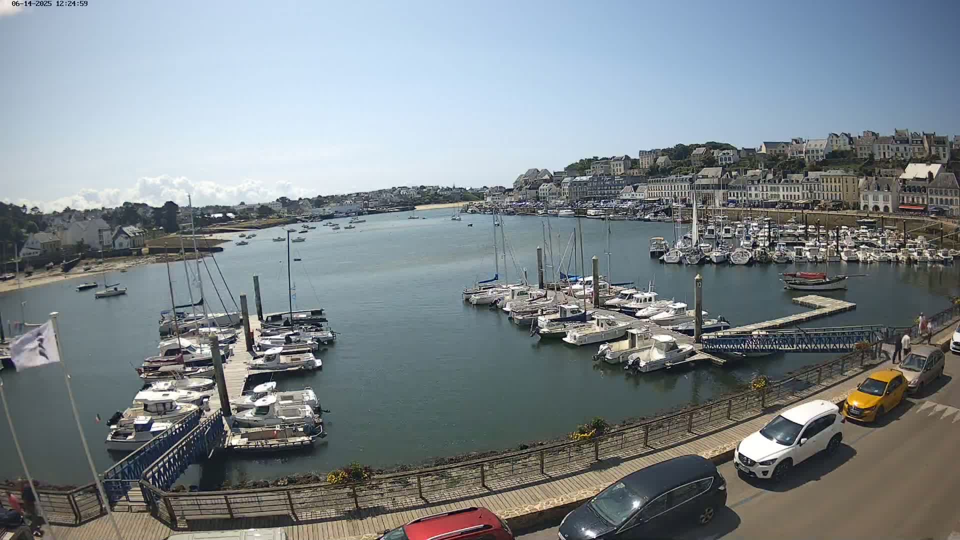 A harbor filled with numerous boats and yachts is nestled beside a town under a clear, sunny sky.