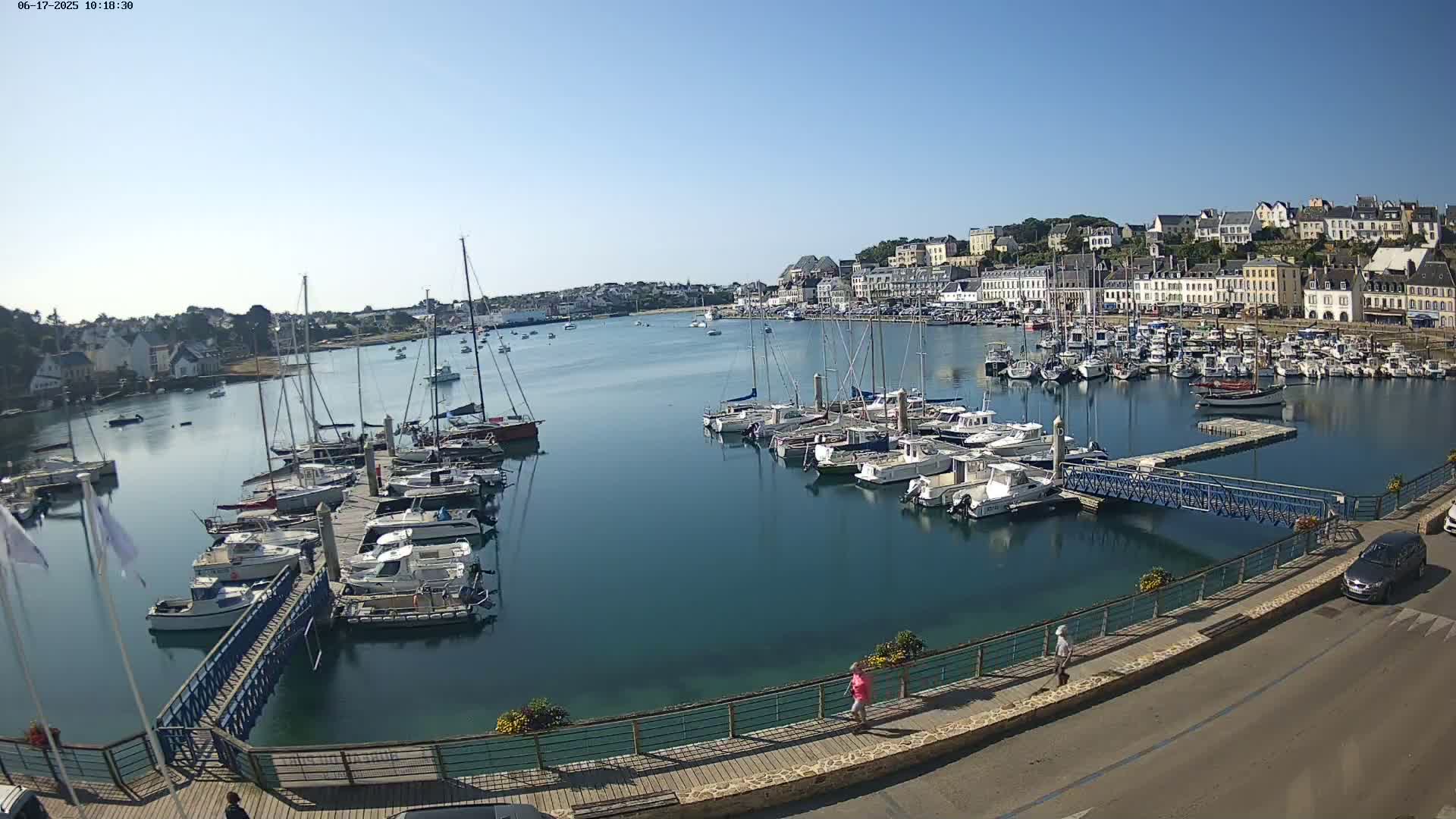 A harbor filled with sailboats and motorboats on a sunny day, next to a town with buildings lining a hill.