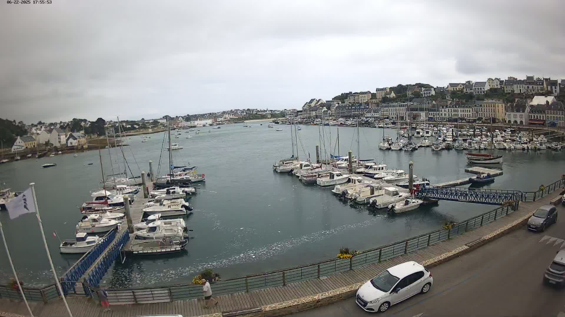 A harbor filled with numerous boats and yachts under an overcast sky, with a town in the background.