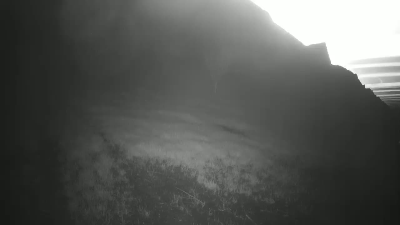 A hazy, bright sun illuminates a dark, rocky hillside covered in sparse, low-lying vegetation.