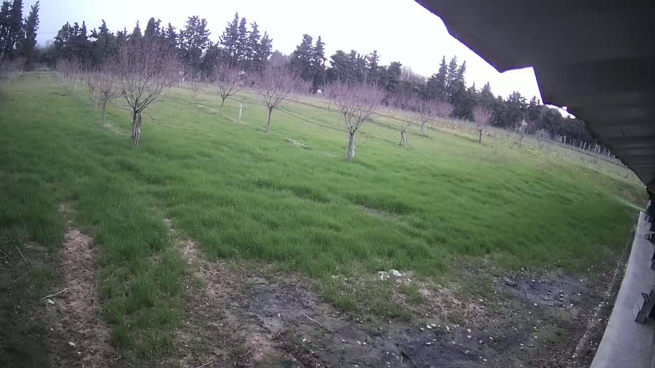  Loriol-sur-Drôme Garden Live Cam - Die, Drome, Auvergne-Rhone-Alpes, France