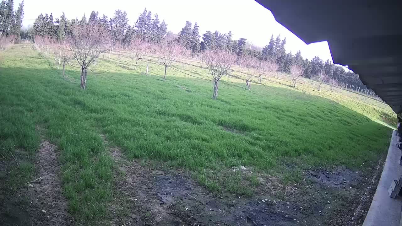  Loriol-sur-Drôme Garden Live Cam - Die, Drome, Auvergne-Rhone-Alpes, France