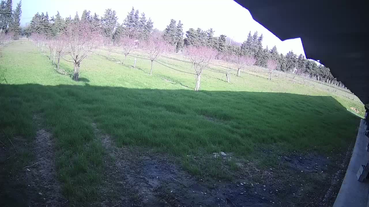  Loriol-sur-Drôme Garden Live Cam - Die, Drome, Auvergne-Rhone-Alpes, France