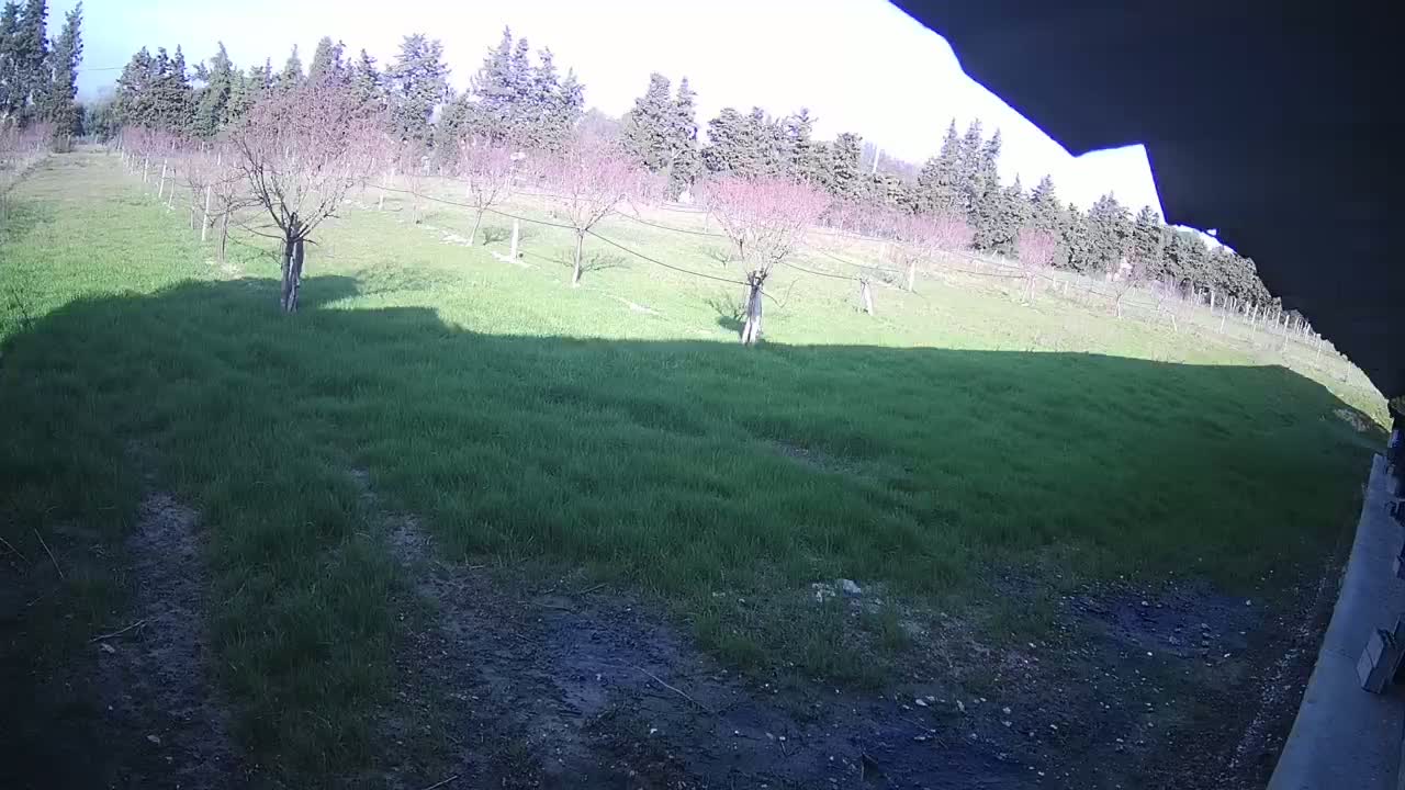  Loriol-sur-Drôme Garden Live Cam - Die, Drome, Auvergne-Rhone-Alpes, France