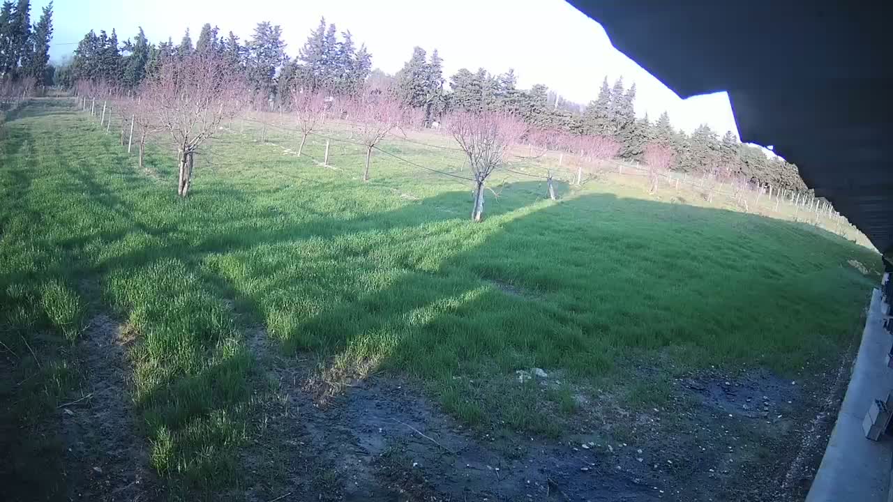  Loriol-sur-Drôme Garden Live Cam - Die, Drome, Auvergne-Rhone-Alpes, France