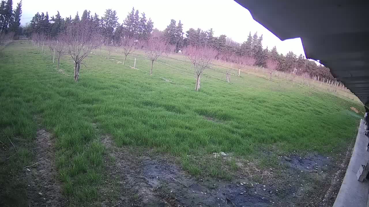  Loriol-sur-Drôme Garden Live Cam - Die, Drome, Auvergne-Rhone-Alpes, France