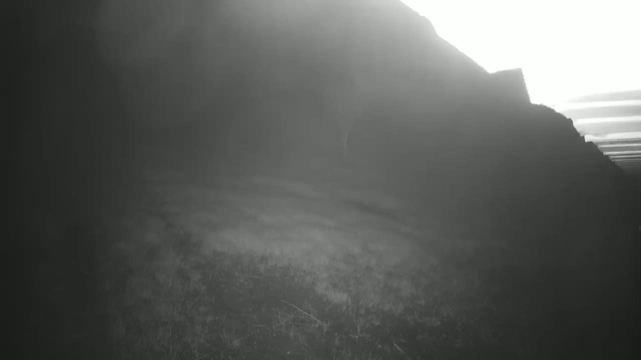  Loriol-sur-Drôme Garden Live Cam - Die, Drome, Auvergne-Rhone-Alpes, France