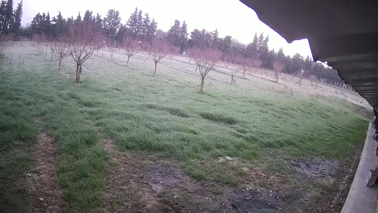  Loriol-sur-Drôme Garden Live Cam - Die, Drome, Auvergne-Rhone-Alpes, France